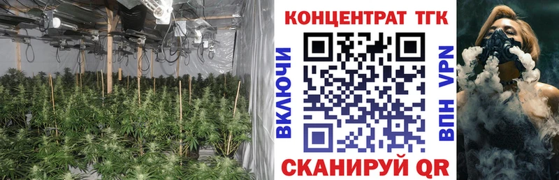 ТГК концентрат  где можно купить   Рославль 