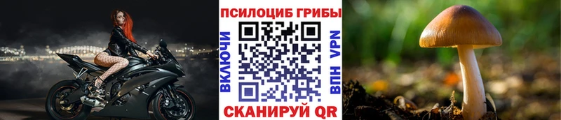 где продают   Рославль  Галлюциногенные грибы Magic Shrooms 