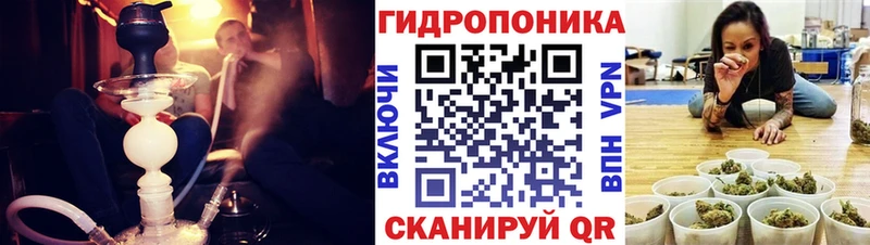 Шишки марихуана планчик наркотики Рославль